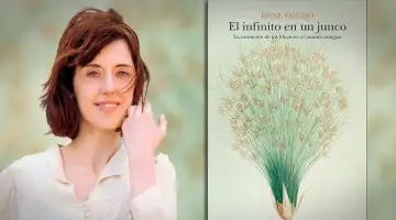 O livro que tinha tudo para não ser um sucesso e tem mais de 30 edições e 8 prêmios