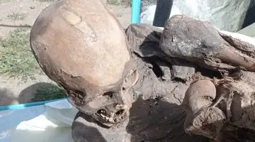 Eles encontram uma múmia pré-hispânica na mochila de um entregador no Peru